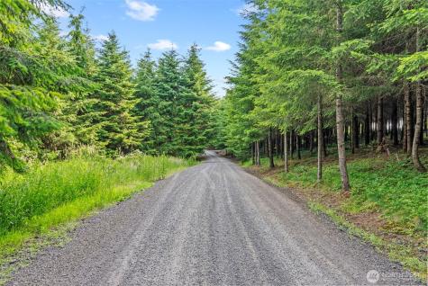 0 Grand Ridge Road Toutle WA 98649