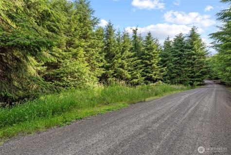 0 Grand Ridge Road Toutle WA 98649