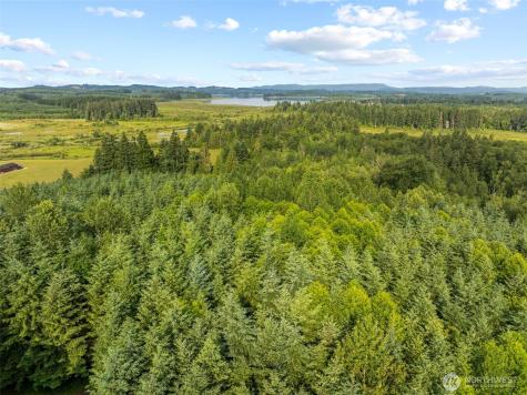 0 Grand Ridge Road Toutle WA 98649