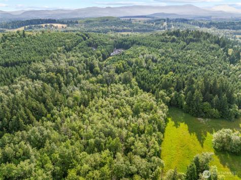 0 Grand Ridge Road Toutle WA 98649