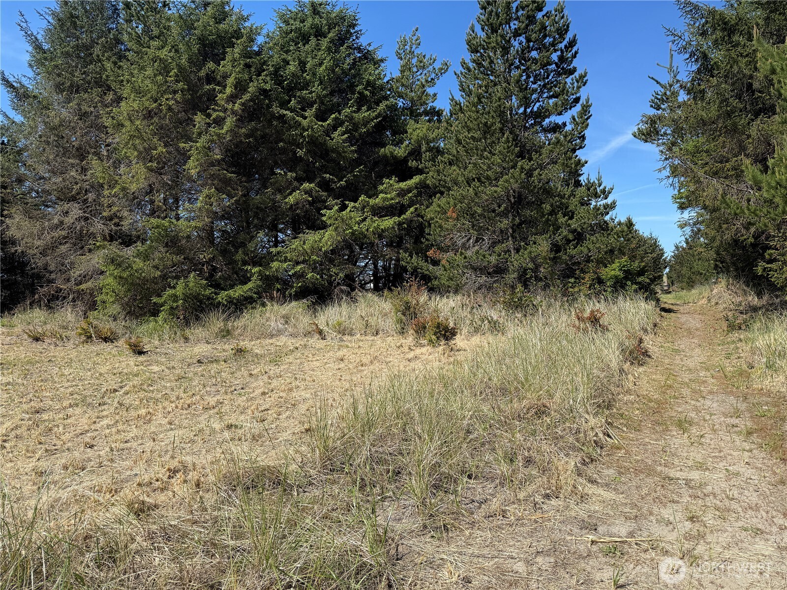 1100 212th Lane Ocean Park WA 98640