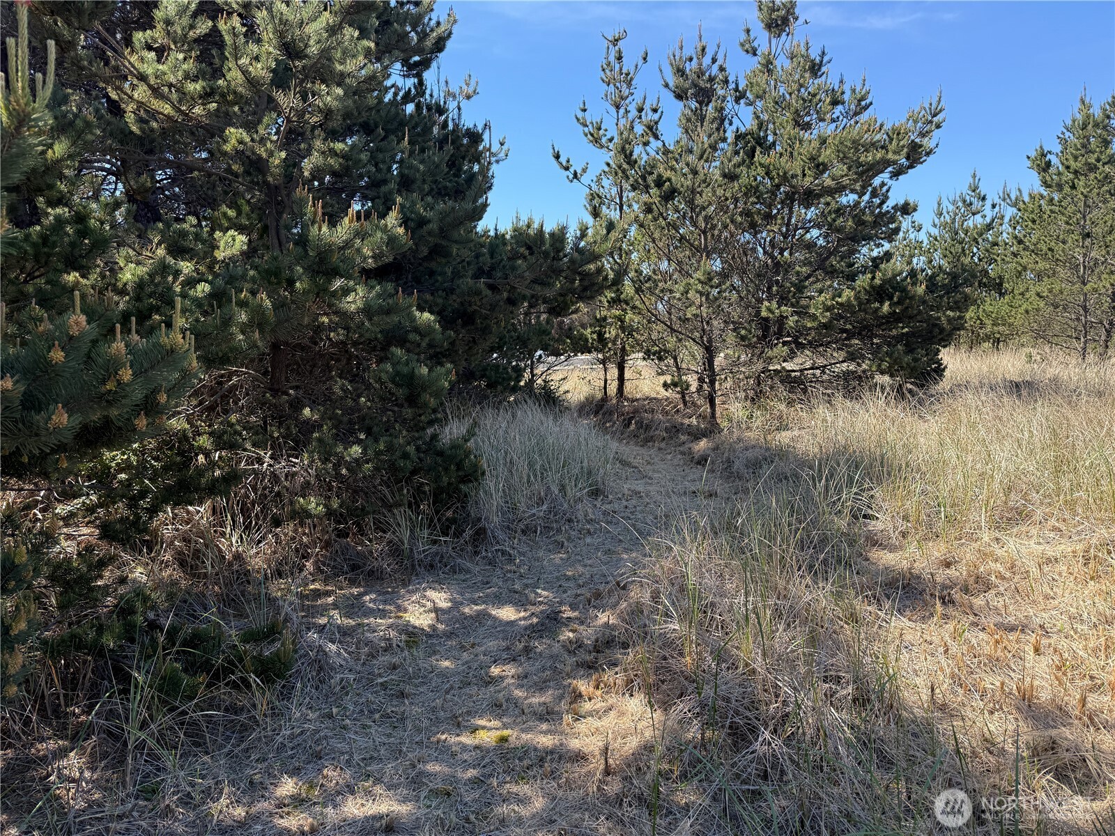 1100 212th Lane Ocean Park WA 98640
