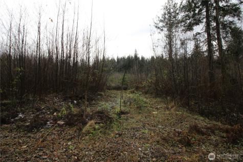 0 364th Avenue SE Maple Valley WA 98038
