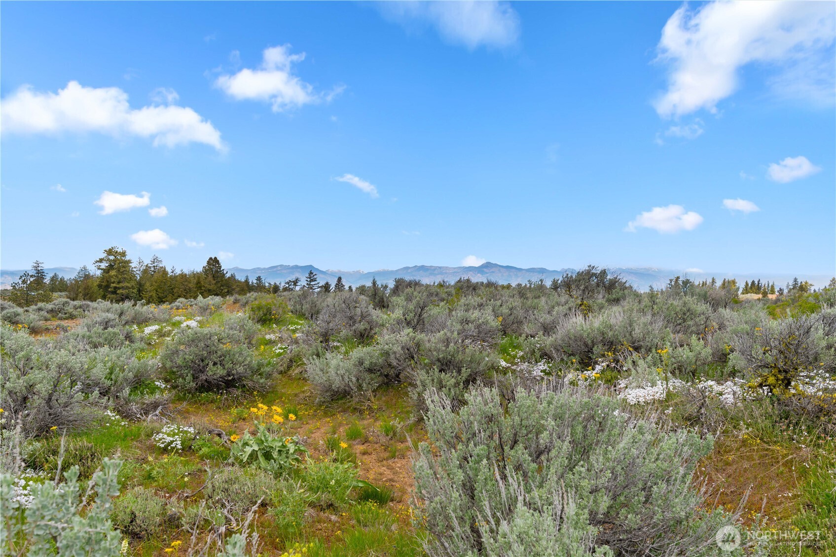 207 Falcon Ridge Road East Wenatchee WA 98802
