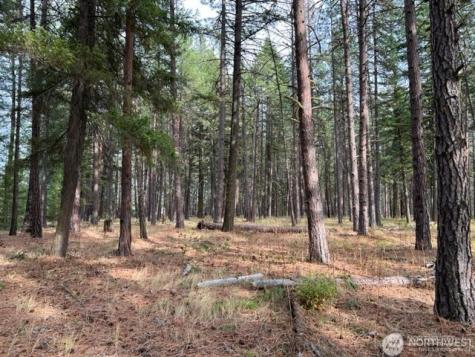 0 Unknown Cle Elum WA 98922