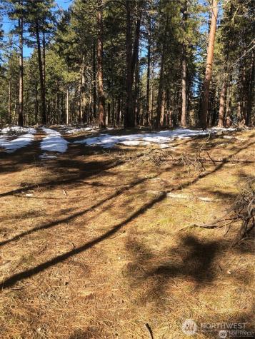 0 Unknown Cle Elum WA 98922