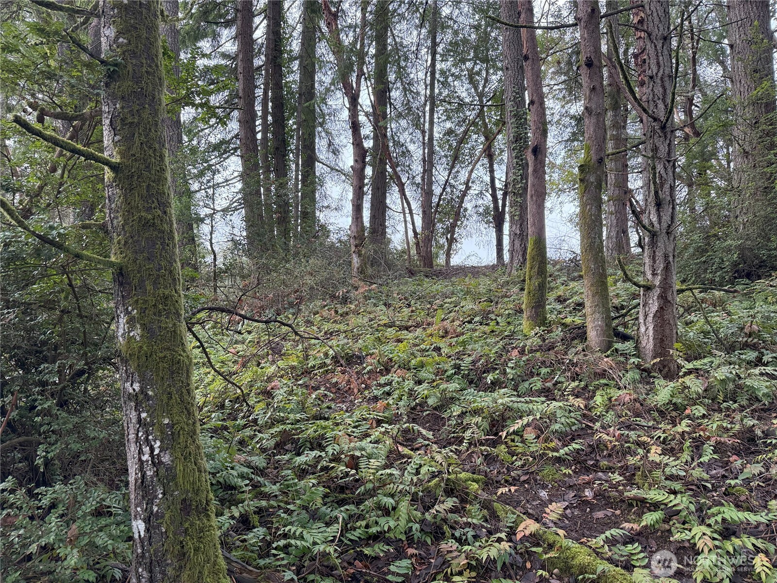 7719 Rosedale Street NW Gig Harbor WA 98335