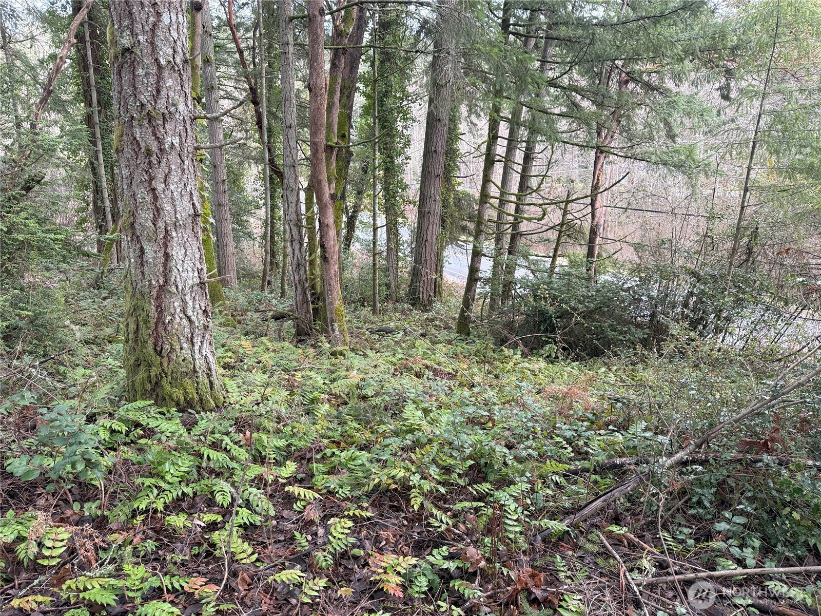 7719 Rosedale Street NW Gig Harbor WA 98335