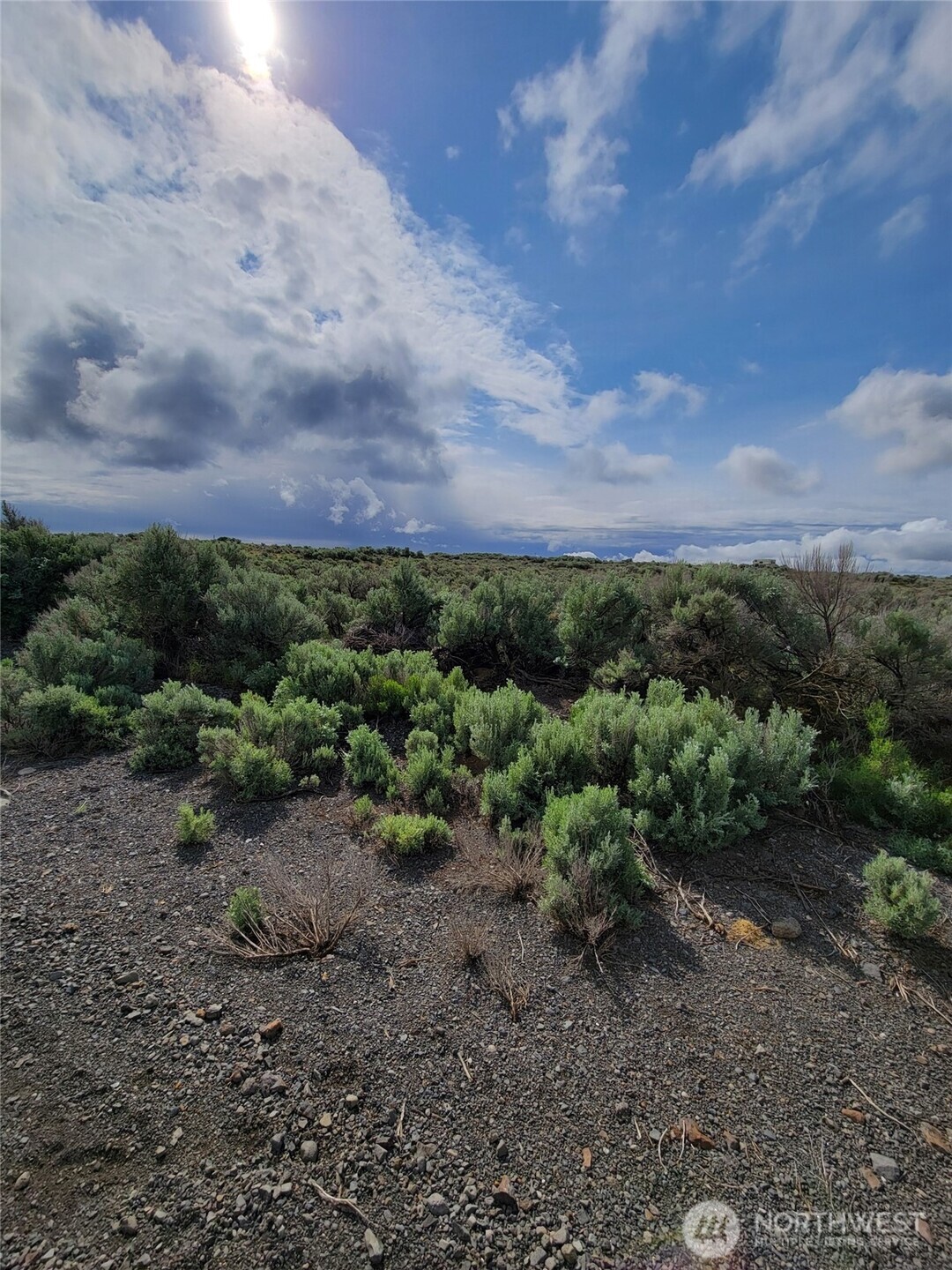 1104 E Coyote Trail Ephrata WA 98823