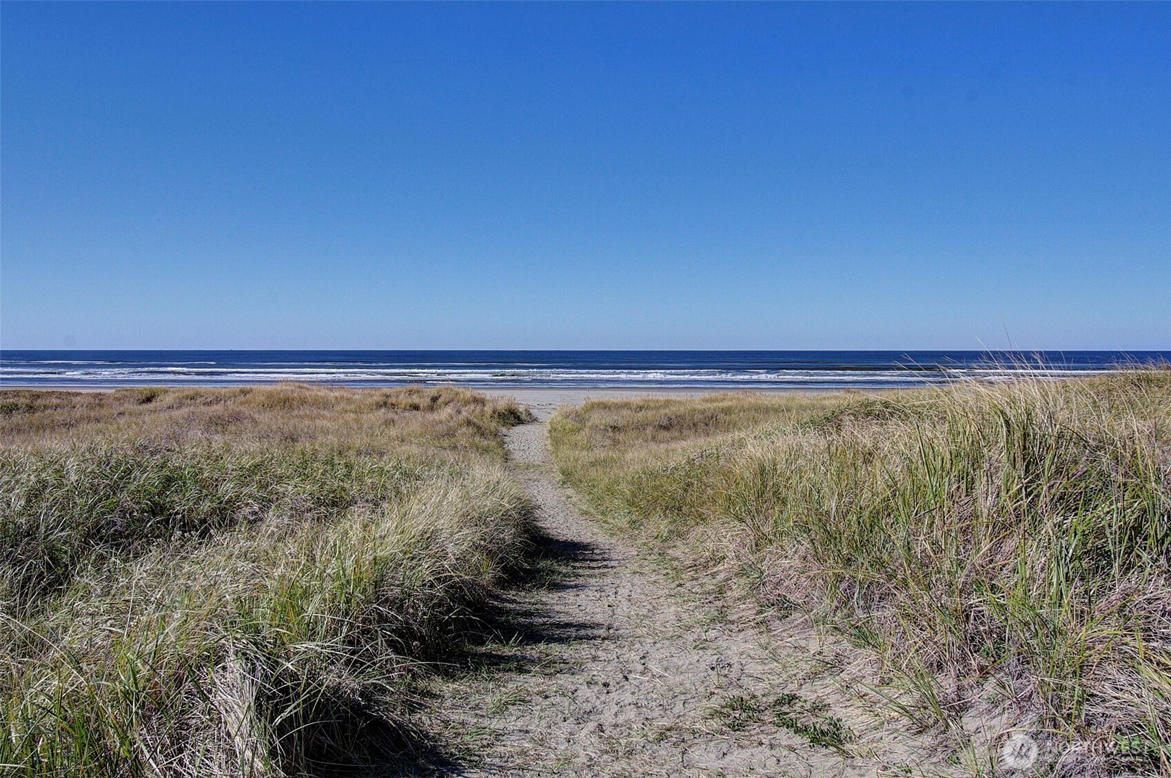 30505 I Street Ocean Park WA 98640