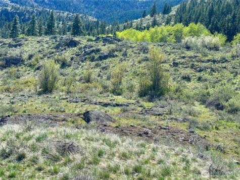 2 Alder Road Twisp WA 98856