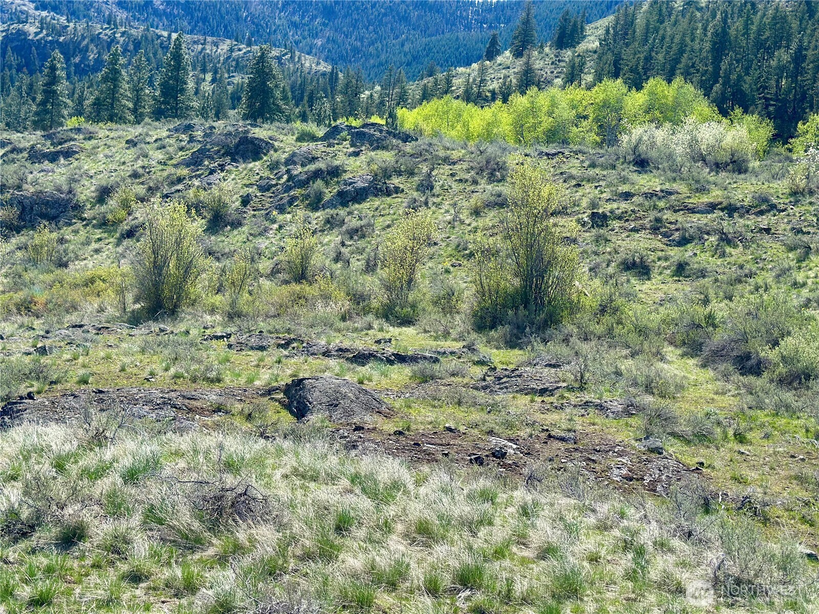 2 Alder Road Twisp WA 98856