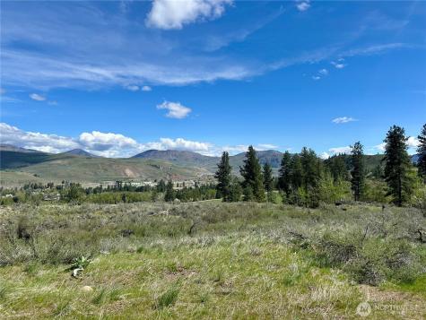 2 Alder Road Twisp WA 98856
