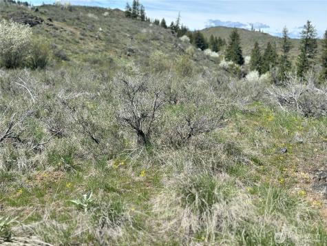 2 Alder Road Twisp WA 98856