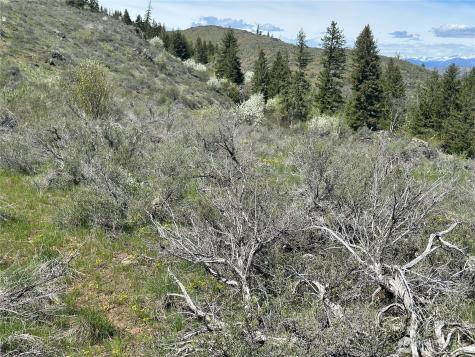 2 Alder Road Twisp WA 98856