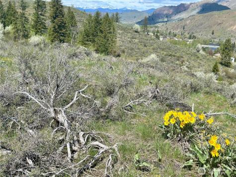 2 Alder Road Twisp WA 98856
