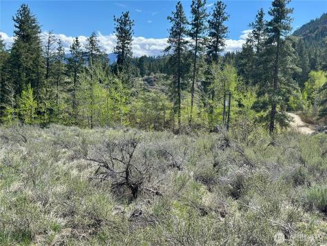 2 Alder Road Twisp WA 98856