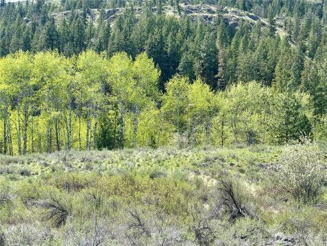 2 Alder Road Twisp WA 98856