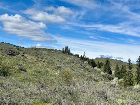 2 Alder Road Twisp WA 98856
