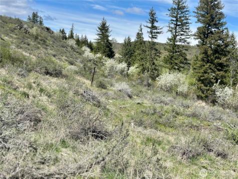 2 Alder Road Twisp WA 98856