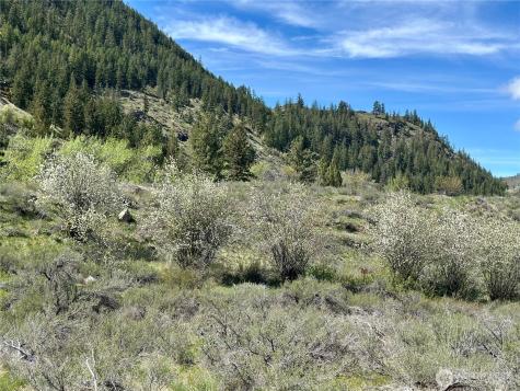 2 Alder Road Twisp WA 98856