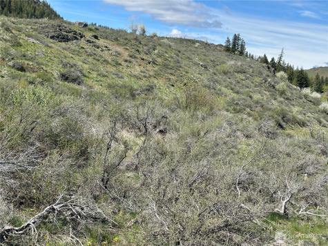 2 Alder Road Twisp WA 98856