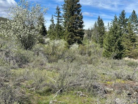 2 Alder Road Twisp WA 98856