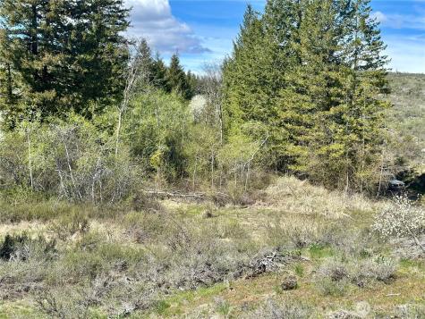 2 Alder Road Twisp WA 98856