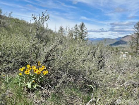 2 Alder Road Twisp WA 98856