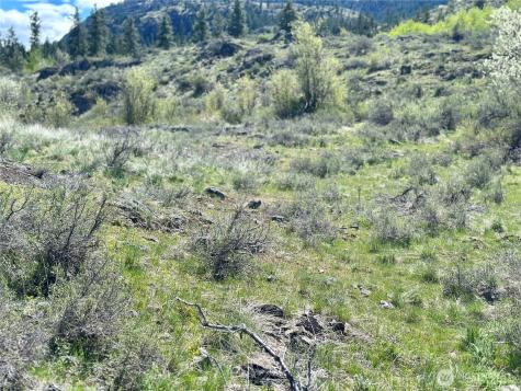 2 Alder Road Twisp WA 98856