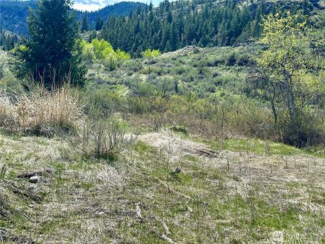 2 Alder Road Twisp WA 98856