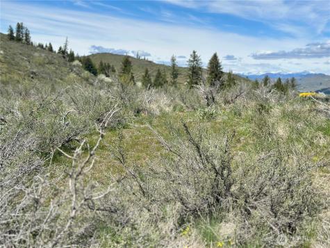 2 Alder Road Twisp WA 98856