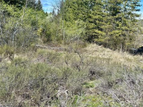 2 Alder Road Twisp WA 98856