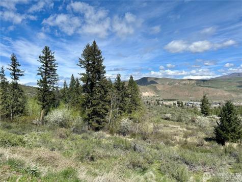 2 Alder Road Twisp WA 98856