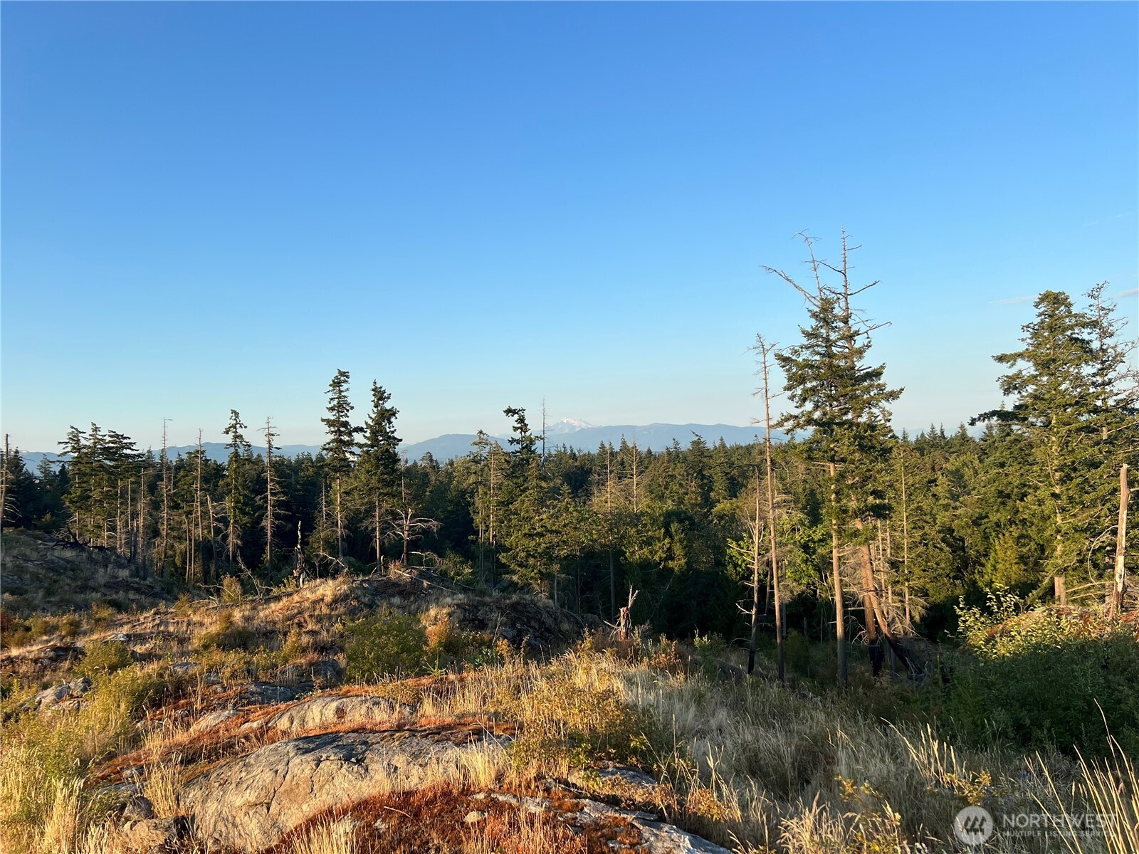 7006 State Route 20 Anacortes WA 98221