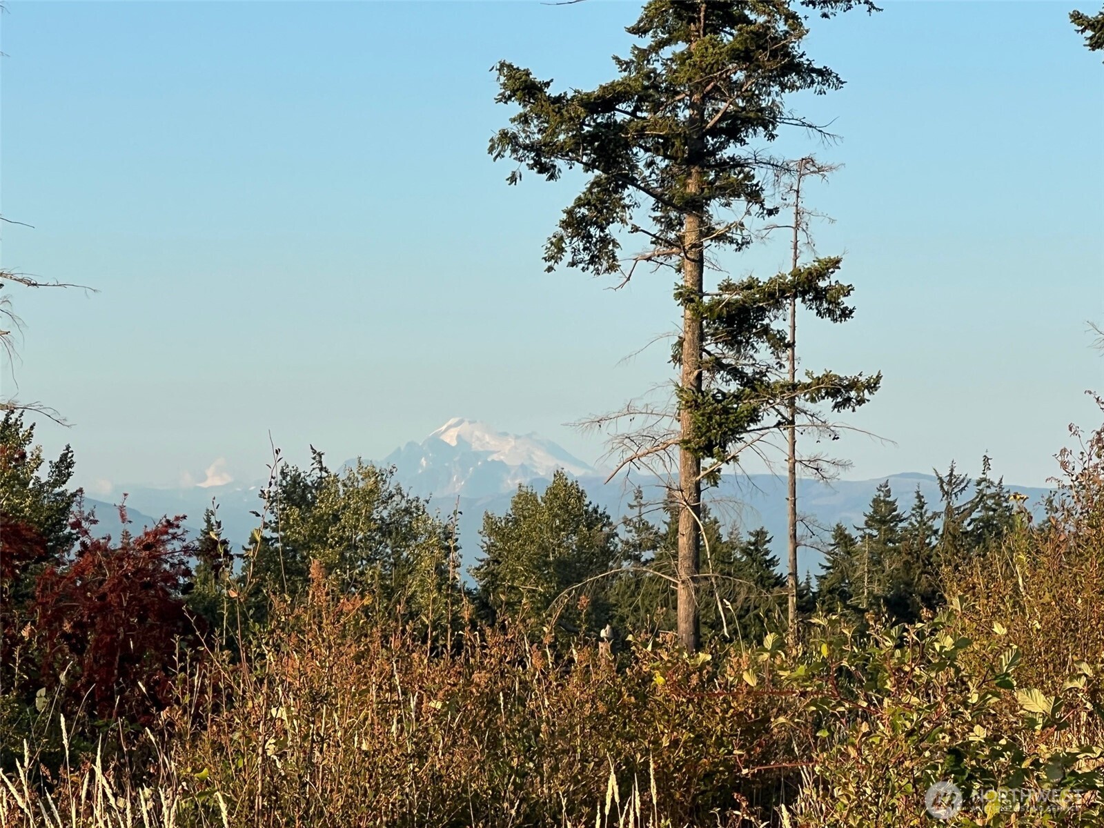 7006 State Route 20 Anacortes WA 98221