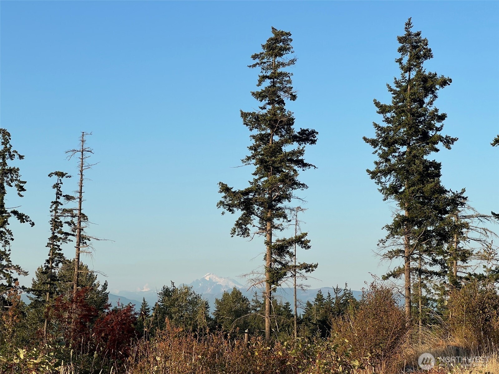 7006 State Route 20 Anacortes WA 98221