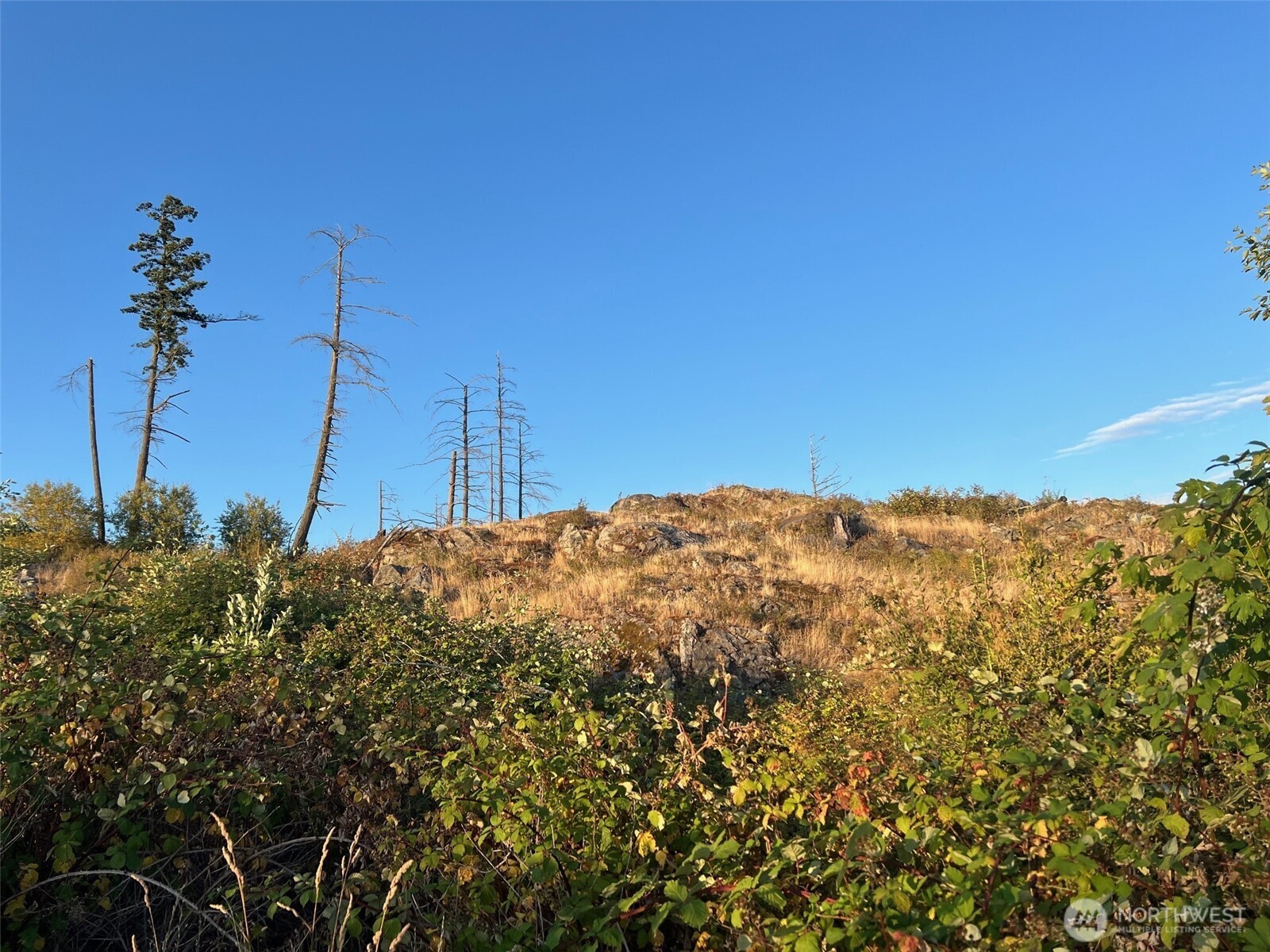 7006 State Route 20 Anacortes WA 98221