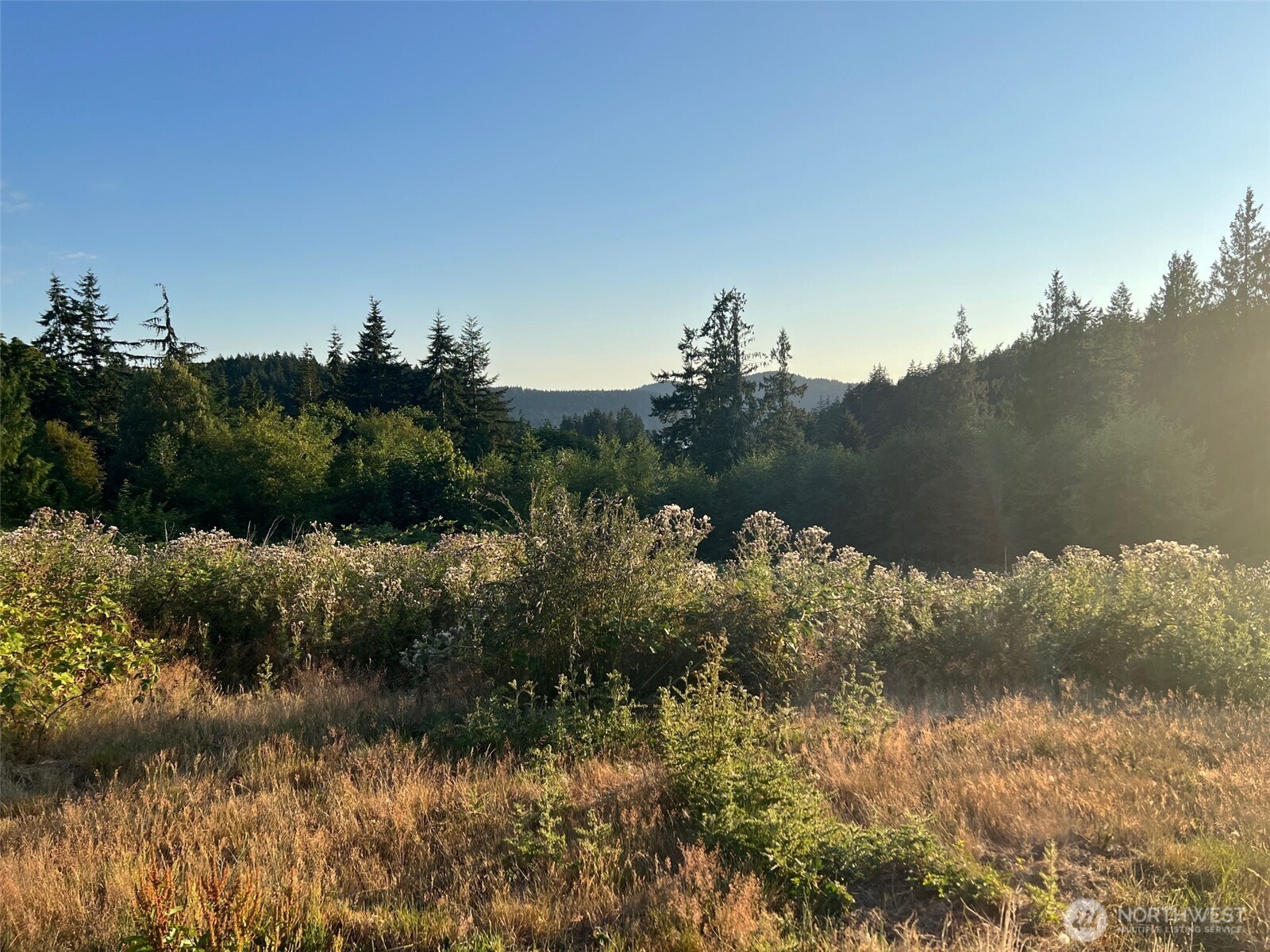 7006 State Route 20 Anacortes WA 98221