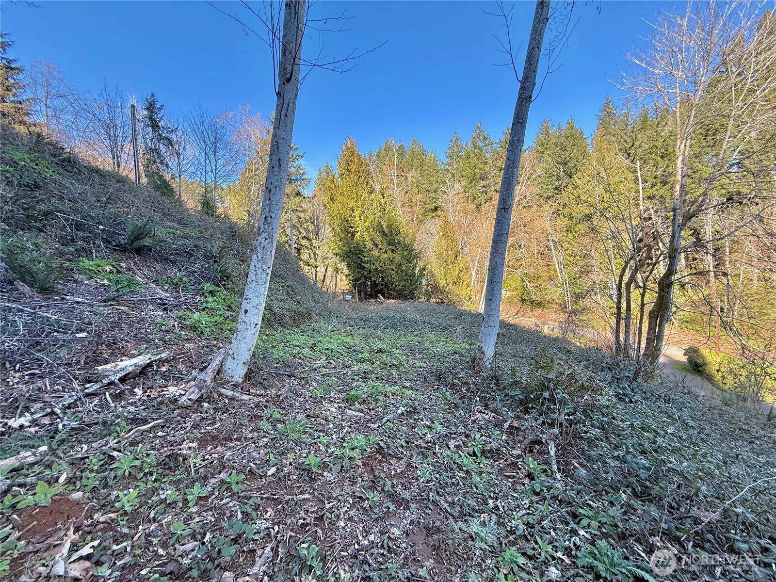 145 N Shar Lane Lilliwaup WA 98555