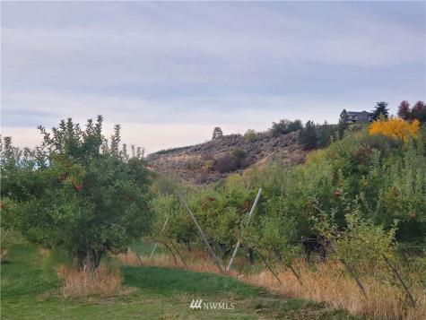 0 Panorama Point Omak WA 98841