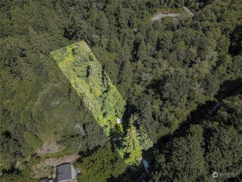 941 Mission Creek Belfair WA 98528