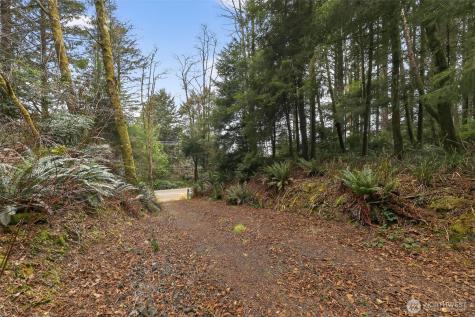 2776 State Route 109 Ocean City WA 98569
