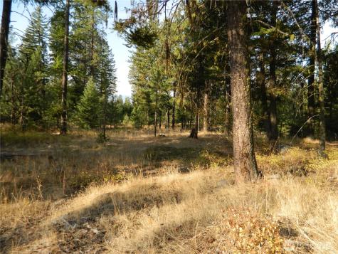 1111 Tbd Rone Road Tonasket WA 98855