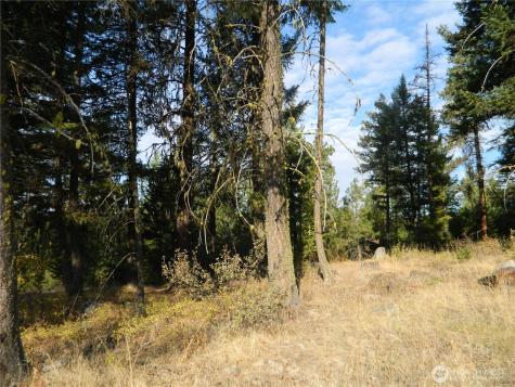 1111 Tbd Rone Road Tonasket WA 98855