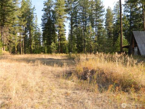 1111 Tbd Rone Road Tonasket WA 98855