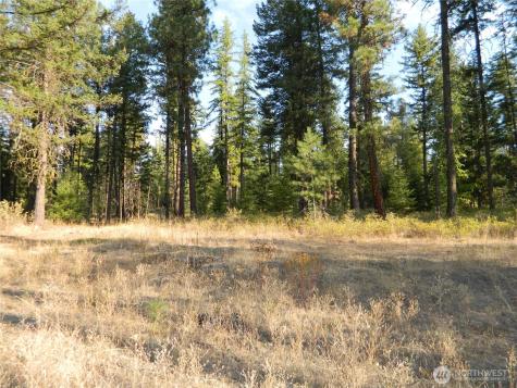 1111 Tbd Rone Road Tonasket WA 98855