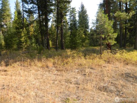 1111 Tbd Rone Road Tonasket WA 98855