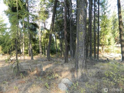 1111 Tbd Rone Road Tonasket WA 98855