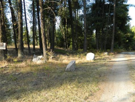 1111 Tbd Rone Road Tonasket WA 98855
